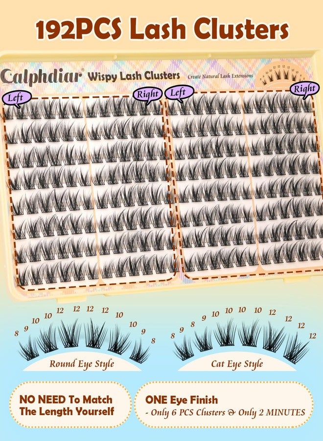 calphdiar Wispy Lash Clusters 8-12mm Natural Eyelash Clusters 192PCS Individual Lashes Clusters Soft Cluster Eyelash Extensions C-Curly Cluster Lashes for Doll Eye Lash Extension for Beginners - Image 4